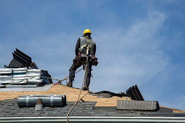 Professional Roof Installation technician working in Leo, IN